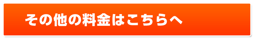 その他の料金はこちらへ